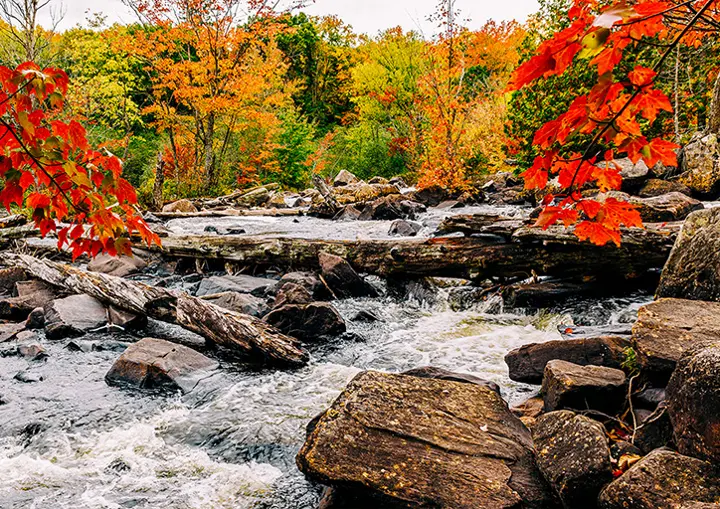 Fall Colours on Lake